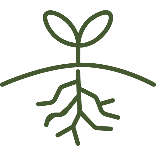 Icon of a plant with roots on a white background