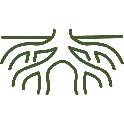 Green tree root icon on a white background